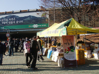 경산대추 서울 시민들 입맛 잡았다