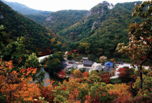 포항 명소가 이렇게 많다니