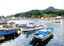 두 바퀴에 그림같은 해안 풍경 담다