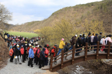 산수유꽃축제 놀러오세요