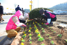 울진군, 주요 도로변 꽃길 조성