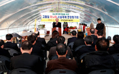 향긋한 영덕 청정 미나리 드세요