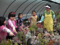 다육이 가꾸며 고운 심성 길러요