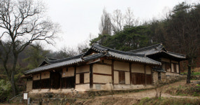 송소 선생 받들던 솔숲은 여전히 울창한데…