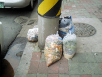 얌체 식당 음식물쓰레기 눈살