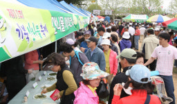 기북산나물 축제 1만여명 북적