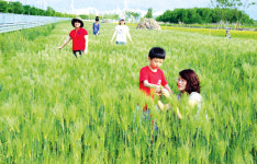 금호강변 산책로 개방