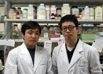 고추 캡사이신 체중감량효과 입증