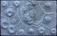 포항 중앙아트홀 개관 첫 전시회