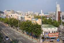 포항 덕수·죽도동 도시환경정비사업 예정지역 지정