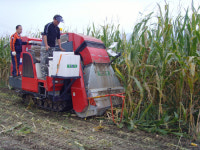 자주식 베일러로 옥수수 사료 만든다