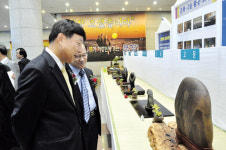 포항시수석연합회, 문예회관서 회원전 열어