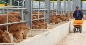 경주 축산농가 삼중고