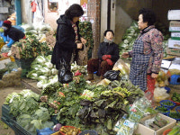김장철…채소·수산물 값 껑충