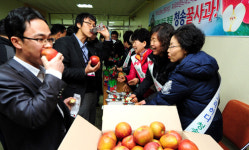 청송꿀사과, 가격 초강세