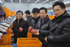 남청송농협, 사과수급 안정 전국 1위