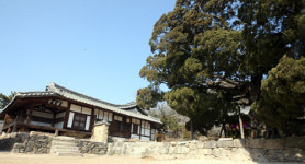 월성손씨·여강이씨 양성마을…우리나라 대표적 반촌