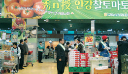 최덕병 조합장 경제사업 매진…농업인 실익 향상 최선
