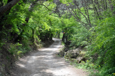 동남산(東南山) 가는 길