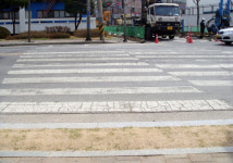 횡단보도 앞 웬 잔디밭?…포항시 녹도사업 엉터리