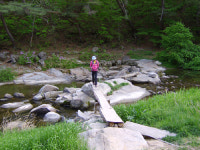영주·봉화 “선비·산수유마을로 떠나자”