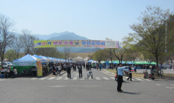 선주원남동 벚꽃축제·열린음악회