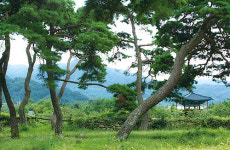 부림홍씨 집성촌, 4㎞ 명물 돌담길 고즈넉한 운치 자랑