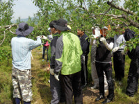 농어촌公 영주·봉화지사, 농촌일손돕기 봉사