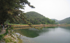 포항 창포동 ‘마장지’ 시민 산책지로 각광