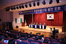 영천 항공산업, 전략산업으로 육성