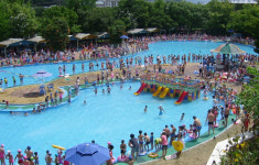 대구 도심 속 피서지 두류수영장 내일 개장