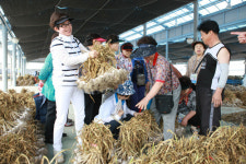 의성 전통시장 장보기·관광 투어 한 번에