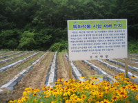 상주포도특구에 특화작물 심는다