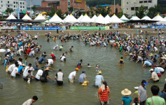 봉화서 은어잡고 물장구치고…더위 싹~