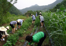 농민들의 고충 더 헤아리게 됐어요