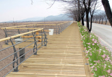 두바퀴 자전거로 천년고도 경주 누빈다