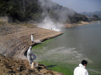 예천 금당지 긴급 녹조제거작업