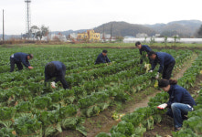 포항 연일읍, 불우이웃에 농산물 전달
