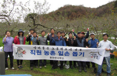 영주 봉현면사무소, 농촌일손돕기