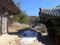 동화사 뒤뜰 금괴 진실공방