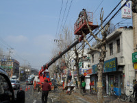 포항시 공원관리사업소 가로수 전정사업 진행