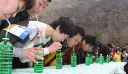 포항 죽장고로쇠축제 성료…관광객 3천여명 참가