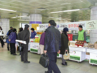 영주, 우수 농특산물 홍보·판매