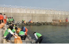 포항항만청, 1사 1연안 가꾸기 운동