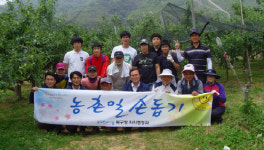 배달원 포항 북구청장, 기북면 농가 일손돕기 활동