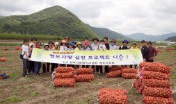 경북사회복지사협 청도군지회, 우박피해농가 일손돕기