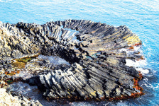 경주 주상절리 천연기념물 지정 예고