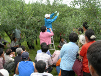 문경농기센터, 한일 사과재배기술 교류