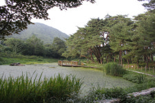 포항 덕동문화마을 여름휴가지로 각광