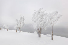 포항시립중앙아트홀 전시·공연 소식